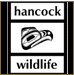 Hancock Wildlife